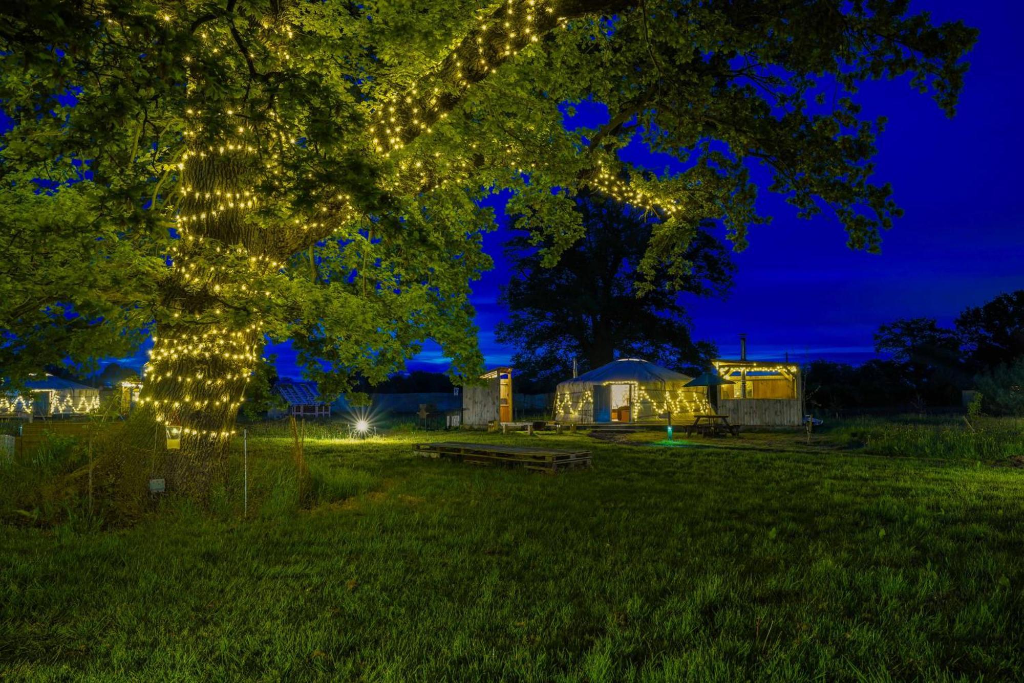 Glamp And Tipple Ltd Hotel Great Ellingham Kültér fotó